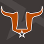 The Bull logo