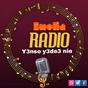Emelia Radio logo