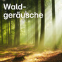 104.6 RTL - Waldgeräusche logo