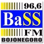 Radio BaSS FM logo