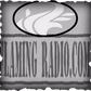 Flaming 89 logo