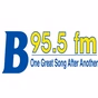 B-95.5 - WYJB logo