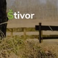 Radio Štivor logo
