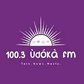 100.3 Udoka FM logo