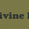 AA Divine Radio logo