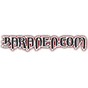 Radio Baranen logo