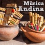 Miled Music - Andina logo