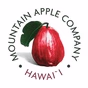 Mountain Apple Company Hawaiian Music Radio logo