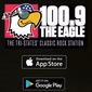 100.9 The Eagle - KRRY logo