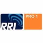 RRI - PRO1 Teluk Bintuni logo