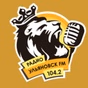 Радио Ульяновск ФМ logo