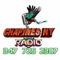 Chapinesnyradio Radio logo