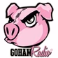 GoHamRadio logo