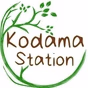 Kodama Station logo