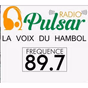 Radio Pulsar Katiola logo