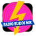Rádio Búzios Mix logo