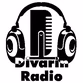 Divarin Radio logo
