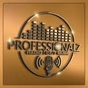 The Professionalz Radio logo