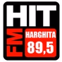 HIT FM Harghita Toplita logo