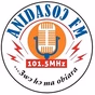 Anidaso FM logo