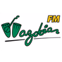 Wazobia FM PH logo