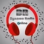 Dynamo Radio logo