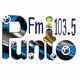 Fm Punto logo
