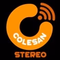 Colesan Stereo logo