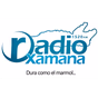 Radio Samana logo