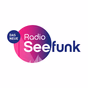 Radio Seefunk - Die besten Rocksongs logo