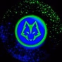 S Flux logo
