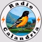 Radio Calandria logo