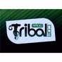 Rádio Tribal logo