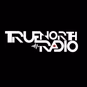 TrueNorthRadio - Dark Channel logo