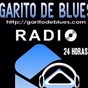 Radio Garito de Blues logo