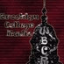 Brooklyn College Radio - WBCR logo