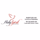 Holy Spirit Radio - WISP logo