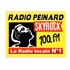 Radio Peinard Skyrock logo