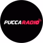 PuccaRadio.com logo