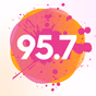 Fidelity 95.7 FM - WFID logo