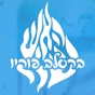 ברסלב פוריו logo