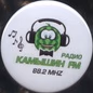 Радио Камышин ФМ logo