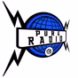 Pure Radio Holland - Various Channel logo