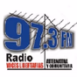 Radio Voces Libertarias logo