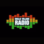 Skills Village Radio logo