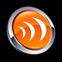 Radio Im Internet logo