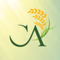 Rádio Capital do Arroz logo