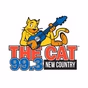99.3 The Cat - WWKT-FM logo