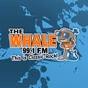 The Whale 99.1 FM - WAAL logo