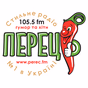 Стильное FM logo